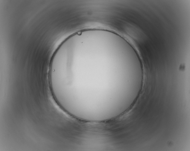 X0000112960863200908270918