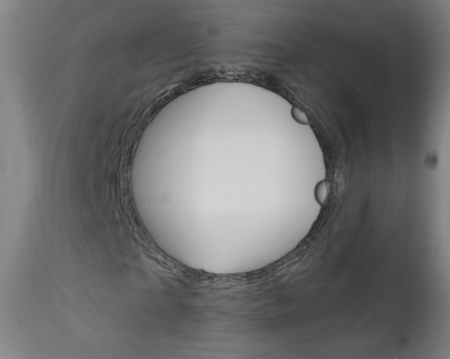 X0000112960865200908270917