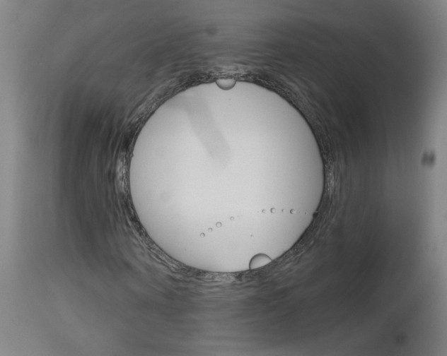X0000112960866200908270917