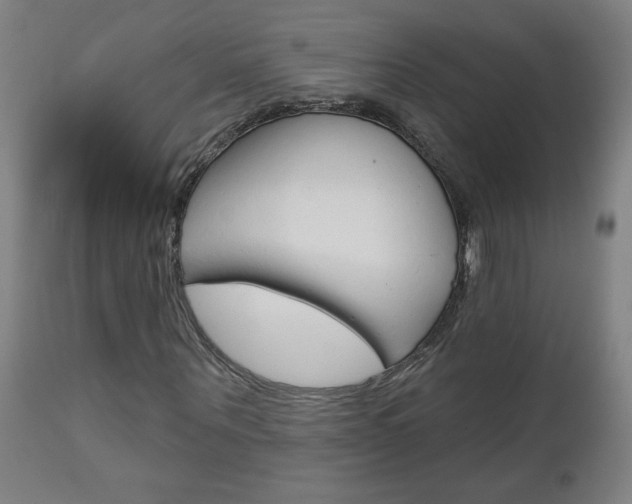 X0000112960867200908270917