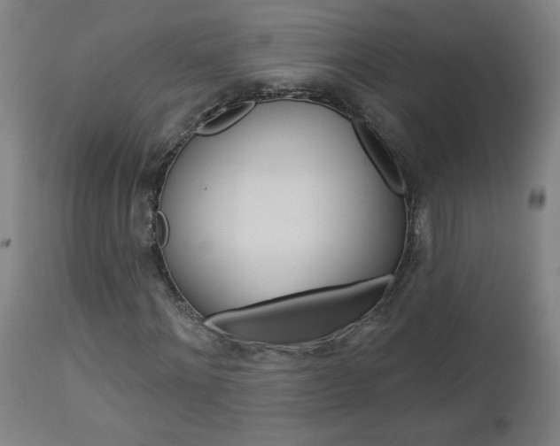 X0000112960868200908270917