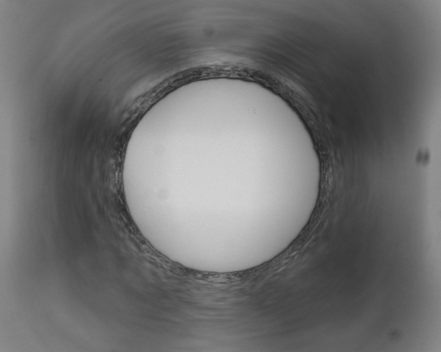 X0000112960869200908270917