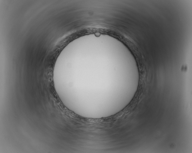 X0000112960870200908270917