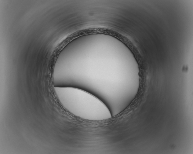 X0000112960871200908270917