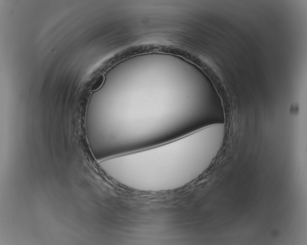X0000112960872200908270917