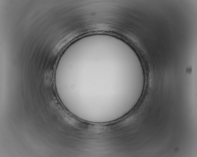 X0000112960873200908270917