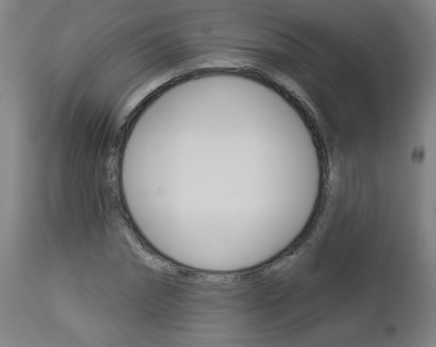 X0000112960874200908270917