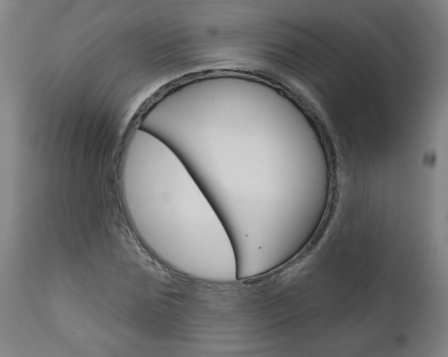 X0000112960875200908270917