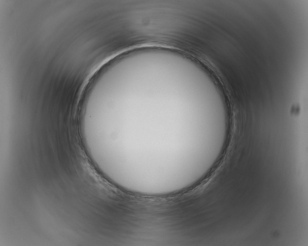 X0000112960876200908270917