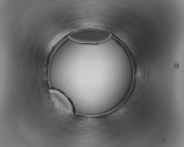 X0000112960877200908270917