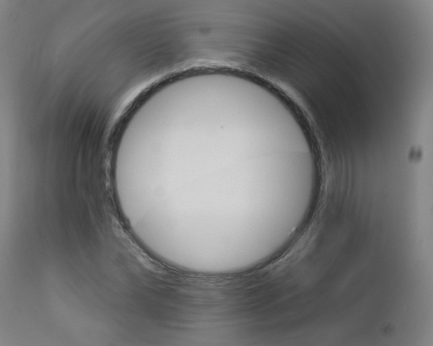 X0000112960878200908270917