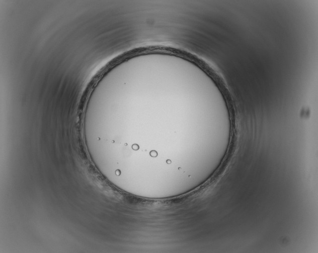 X0000112960879200908270917