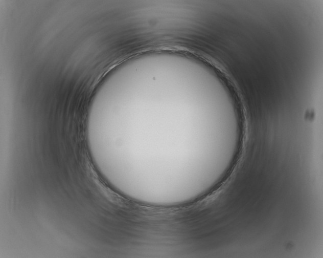 X0000112960881200908270917