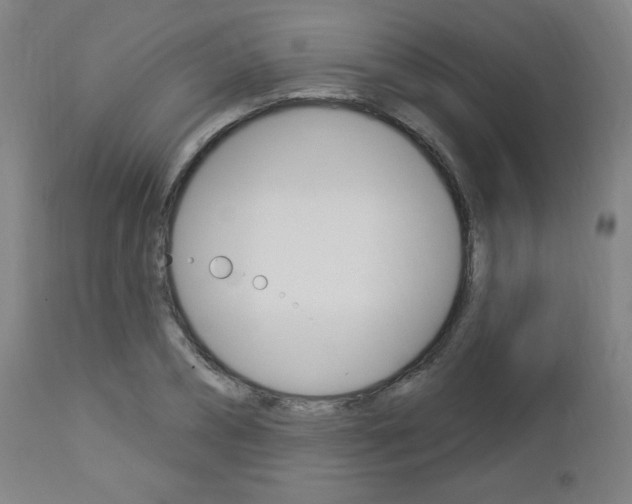 X0000112960882200908270917