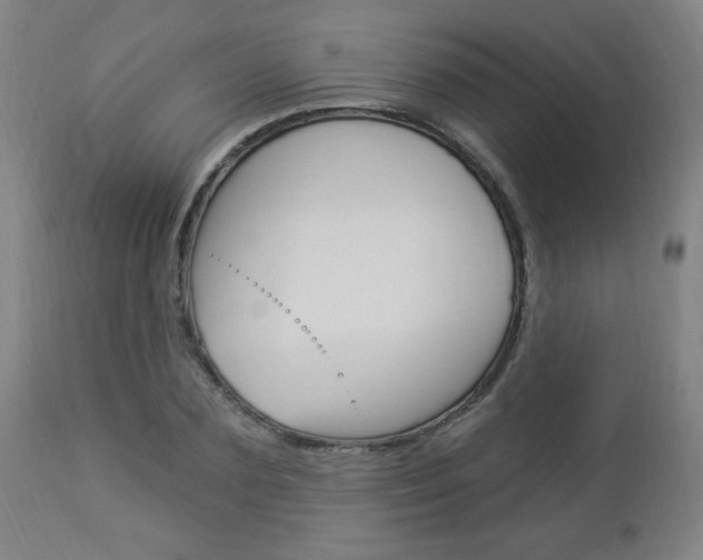 X0000112960883200908270917