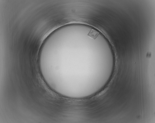 X0000112960885200908270917