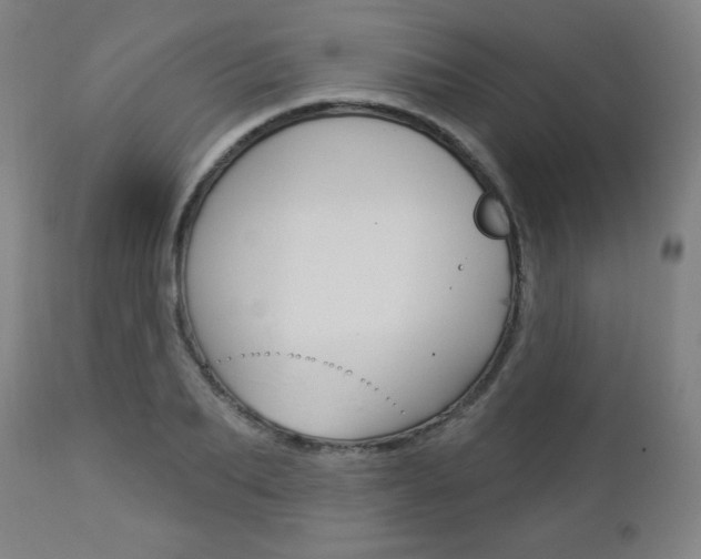X0000112960887200908270917