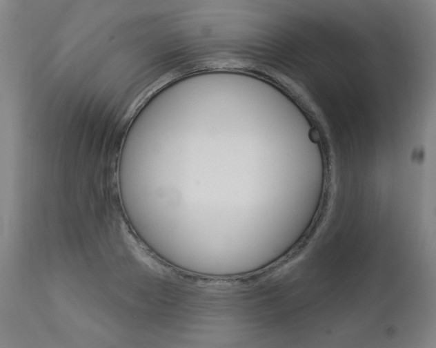 X0000112960889200908270917