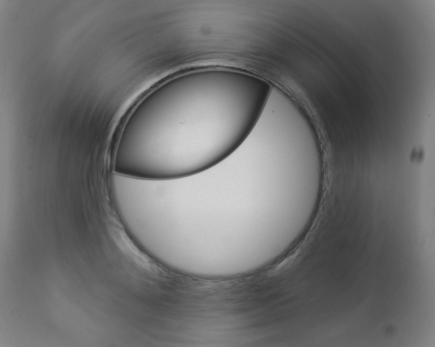 X0000112960892200908270917