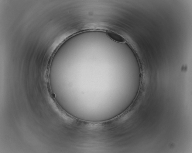 X0000112960893200908270917