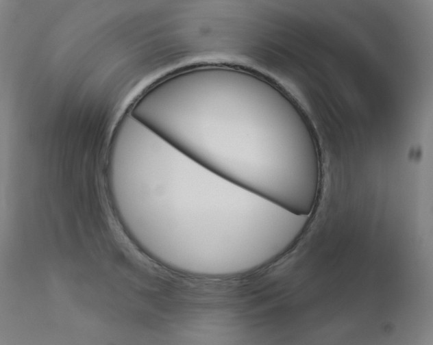 X0000112960895200908270917