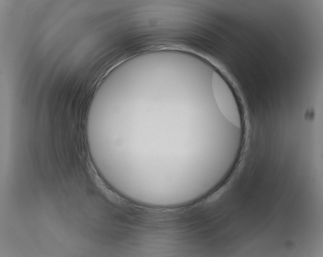 X0000112960897200908270917