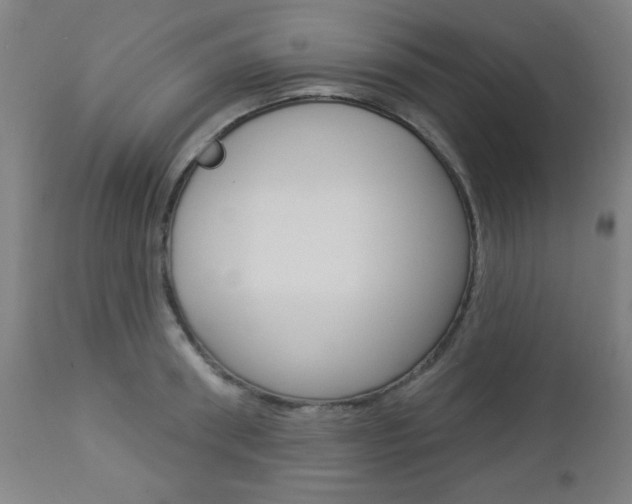 X0000112960898200908270917
