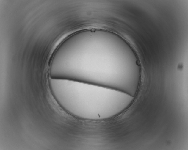X0000112960899200908270917