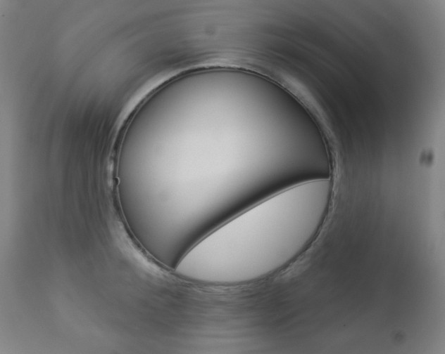 X0000112960900200908270917