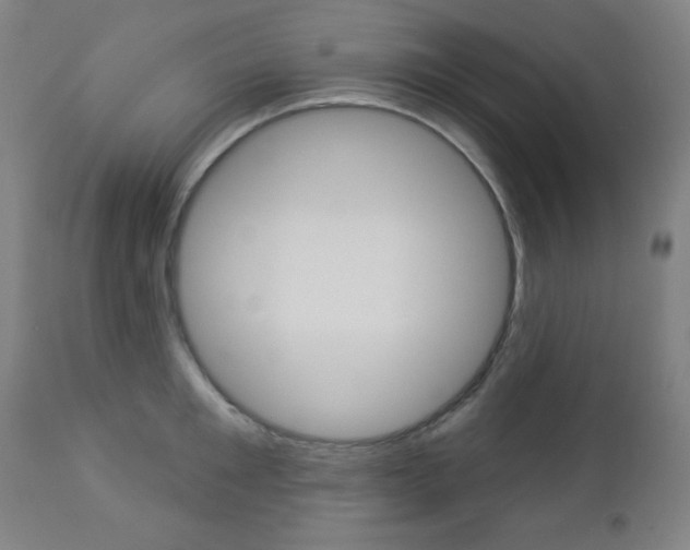 X0000112960901200908270917