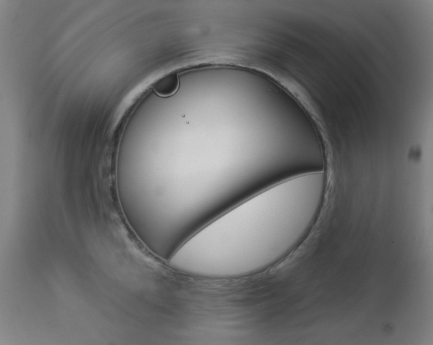X0000112960904200908270917