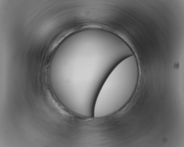 X0000112960906200908270917