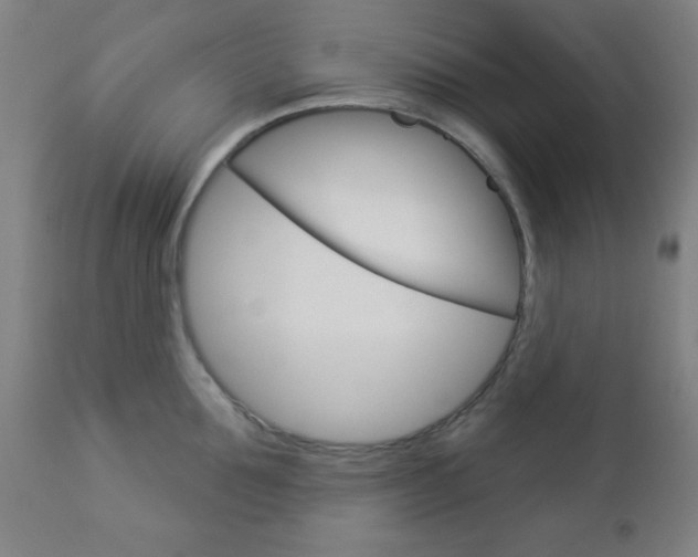 X0000112960907200908270917