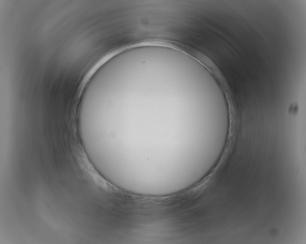 X0000112960908200908270917