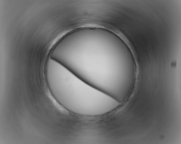 X0000112960909200908270917