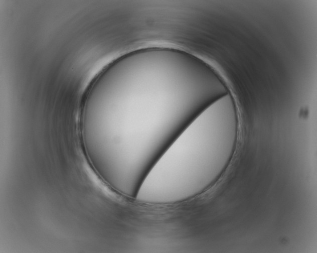X0000112960910200908270917