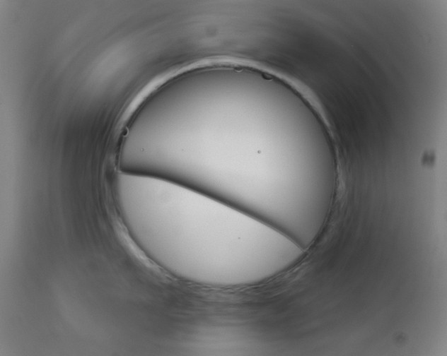 X0000112960911200908270917