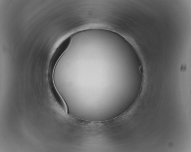 X0000112960912200908270917