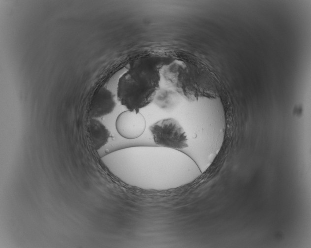 X0000112960913200908270916