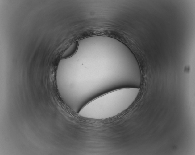 X0000112960914200908270916