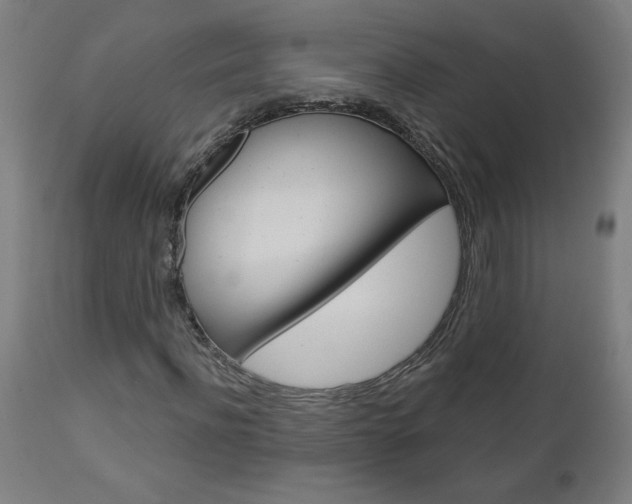 X0000112960916200908270916