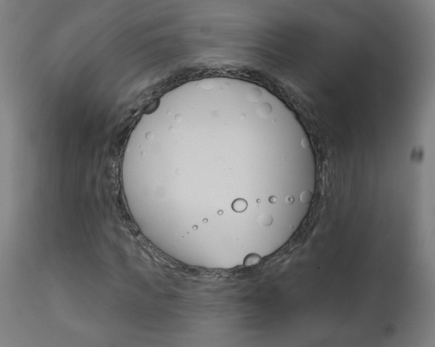 X0000112960917200908270916