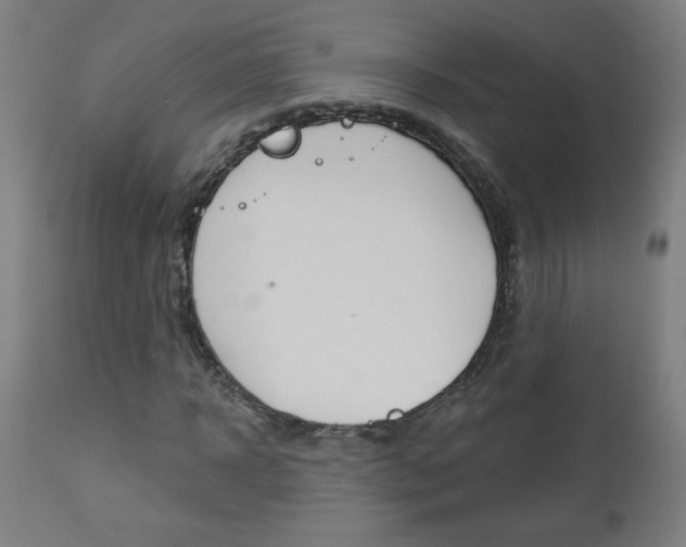 X0000112960918200908270916
