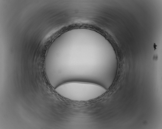 X0000112960919200908270916