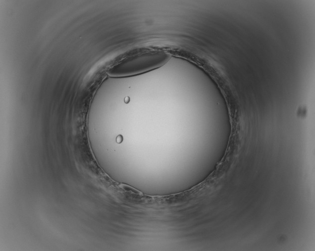 X0000112960920200908270916