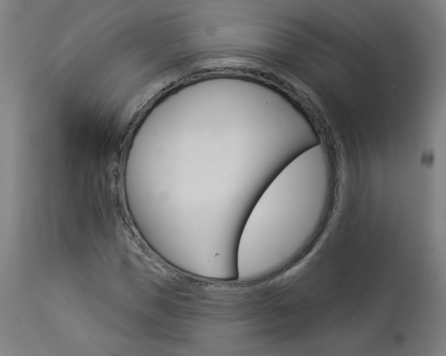 X0000112960921200908270916