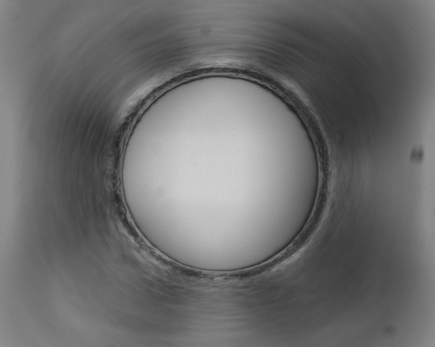 X0000112960922200908270916