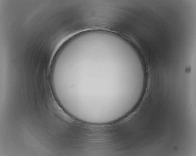 X0000112960924200908270916