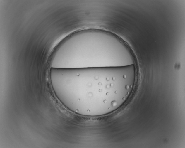 X0000112960925200908270916