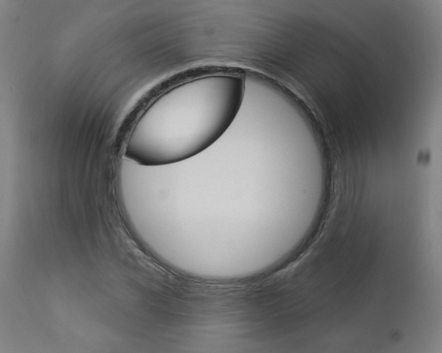 X0000112960926200908270916